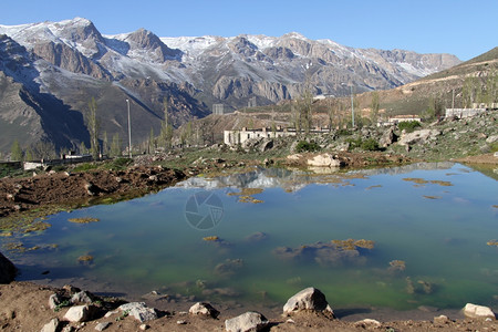 伊朗Damavand火山附近的绿色池塘和房屋图片