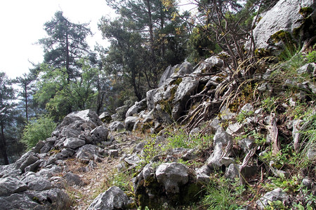 土耳其戈伊努克峡谷的脚路和岩石图片