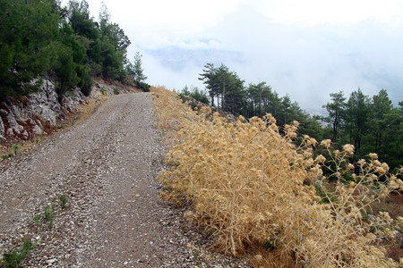 土耳其山区的泥路和烟雾图片