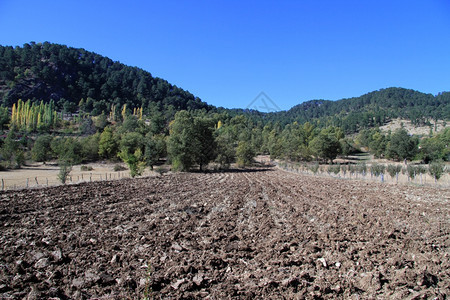 土耳其林山附近的耕地图片