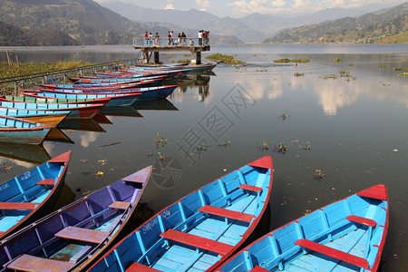 尼泊尔Phewa湖上的码头和船只图片
