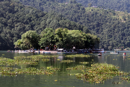 波克拉Phewa湖上的印度教寺庙岛图片