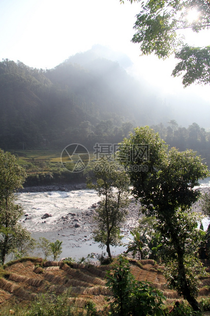 尼泊尔大米和山河图片