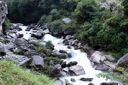 尼泊尔的山河和绿色森林图片