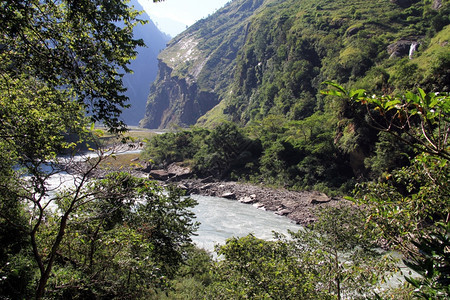 尼泊尔山区河流和树木图片