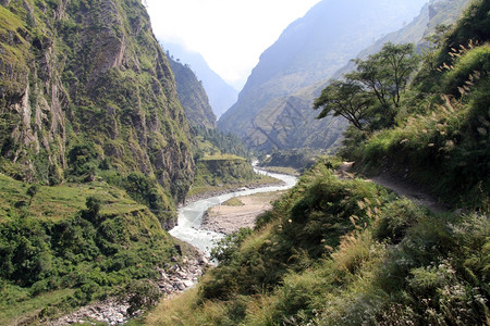 尼泊尔马纳斯卢地区河附近的足道图片