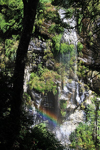 尼泊尔森林山的瀑布和彩虹图片