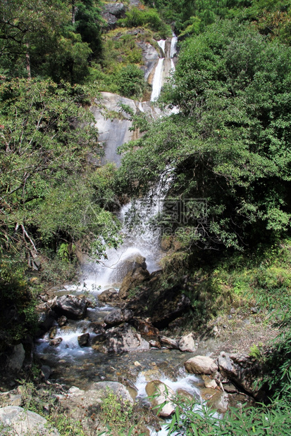 尼泊尔绿森林的瀑布图片