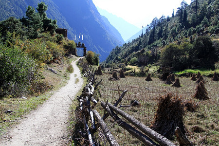 尼泊尔沿路的围栏图片