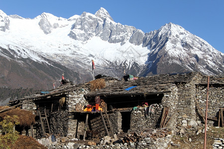 尼泊尔Manaslu附近Samagoon的传统房屋图片