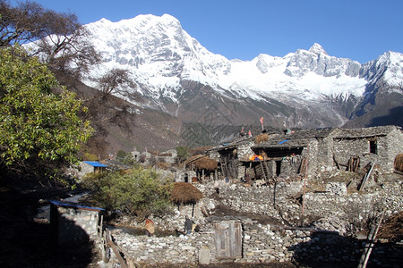 尼泊尔马巴斯卢附近的Samagoon村传统住房图片