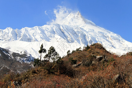 尼泊尔马纳斯卢秋天森林和雪山图片