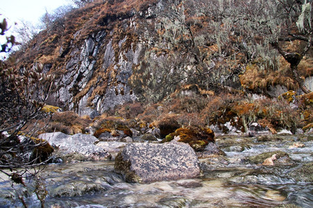 尼泊尔山上有清洁水和树木的河流图片