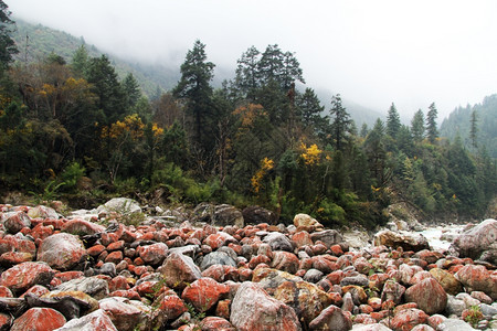 尼泊尔山区的彩色岩石和森林图片