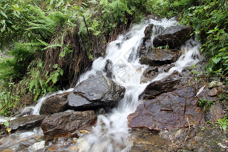 尼泊尔山中的瀑布和绿草图片