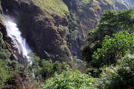 尼泊尔瀑布中的绿叶和白水图片