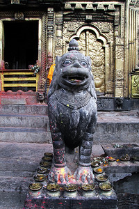 尼泊尔巴克塔普尔附近的樟古纳拉扬神庙门口的狮子雕像图片