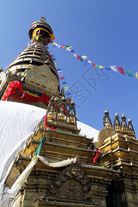 尼泊尔加德满都的金色圣殿和佛塔图片