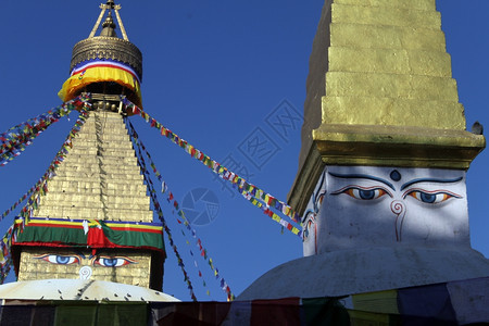 尼泊尔加德满都的两座佛塔图片