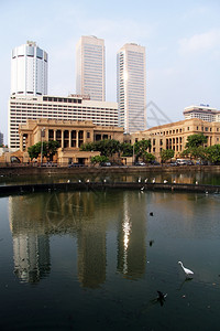 斯里兰卡科伦坡的摩天大楼和水图片