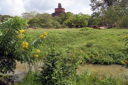 Anuradhadhapura和河流的砖头达戈巴废墟图片