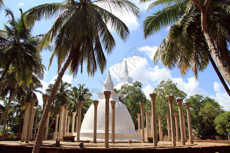 斯里兰卡米欣塔莱的大使塔和棕榈树图片