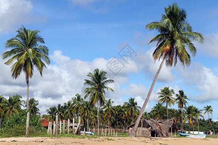 斯里兰卡尼拉韦利海滩上的船图片