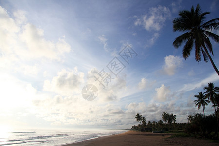 斯里兰卡尼拉韦利海滩的清晨图片