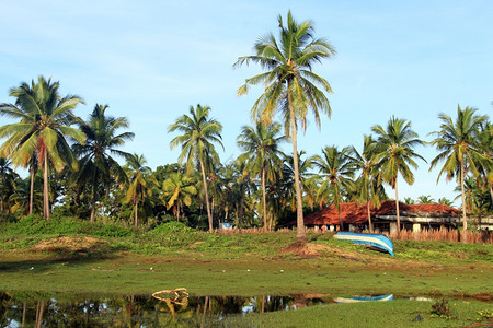 斯里兰卡尼拉韦利海滩上房子附近的船图片