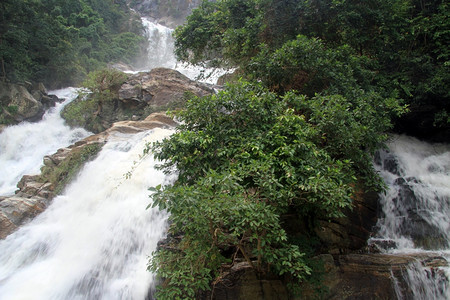 斯里兰卡Ella附近的Ravana瀑布和灌丛图片