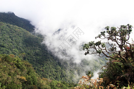 斯里兰卡霍顿平原公园世界末日景象图片