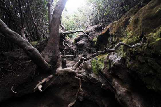 印度尼西亚Kerinci火山坡上的峡谷足迹图片