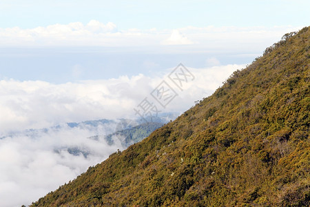 印度尼西亚Kerinci火山坡上的云和灌木图片