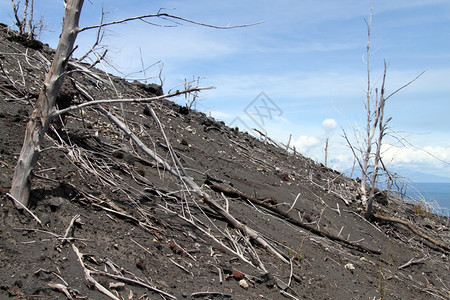 印度尼西亚克拉卡托火山的斜坡图片