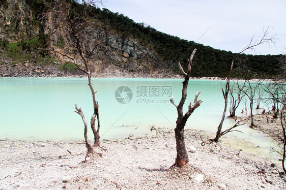 印度尼西亚万隆附近KawahPutih死树和火山坑湖图片