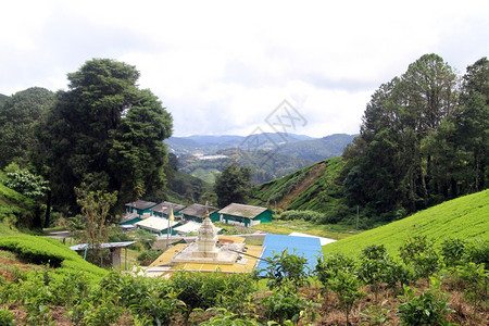 马来西亚茶叶种植园附近的印度教寺庙和村庄背景图片