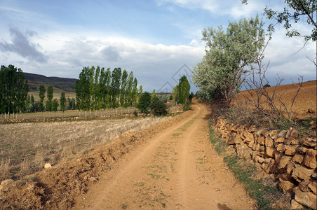 泥土道路和农田图片