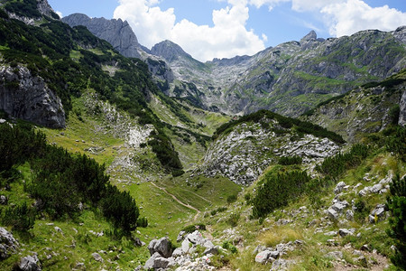 黑山Durmitor公园的足道和山丘图片