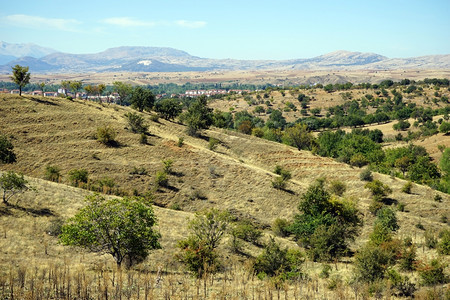 土耳其雅尔瓦茨附近山坡上的树木图片