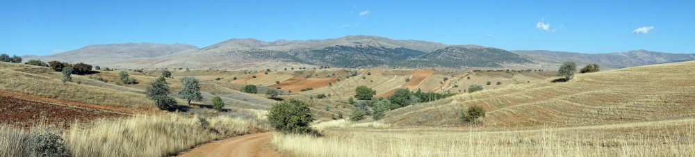 土耳其农田全景图片