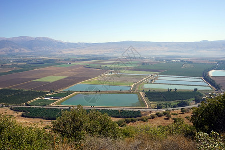 以色列Hula山谷水池中的图片