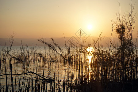 以色列Kinneret湖日出图片
