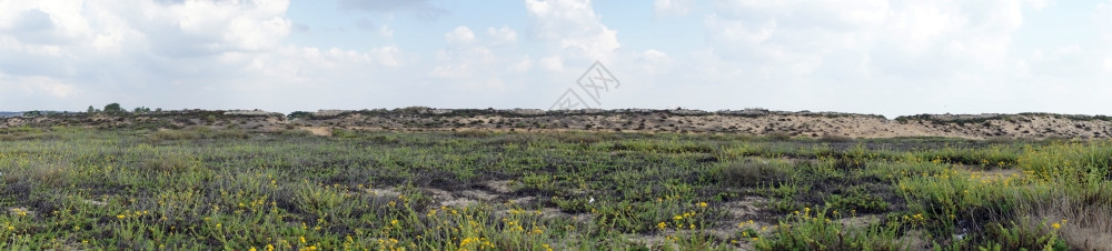 以色列凯撒附近沙丘全景图片