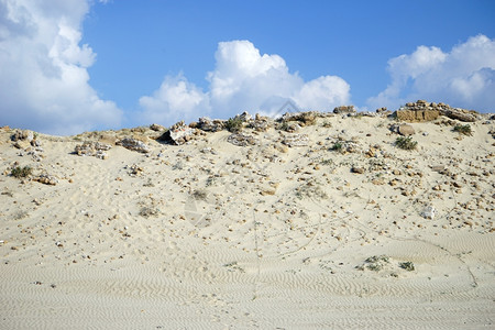 以色列凯萨里亚附近海滩上的沙丘图片