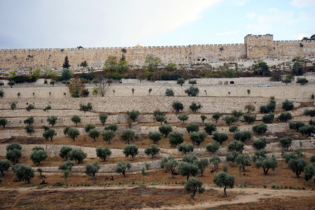 以色列耶路撒冷旧城墙图片