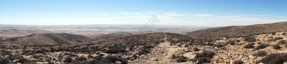 以色列Amasa附近的石沙漠图片
