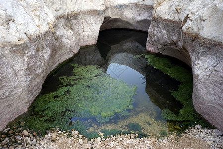 以色列内盖夫沙漠的EinZafit泉水图片
