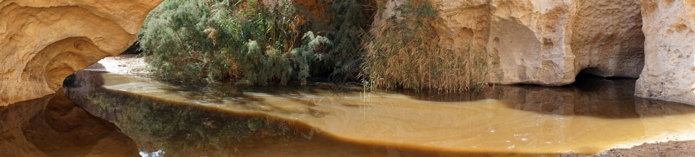 以色列内盖夫沙漠EinYorkeeam自然水池图片