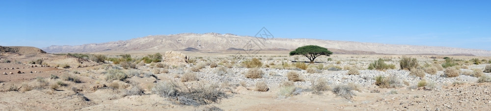 以色列内盖夫沙漠的克拉泽蒙图片