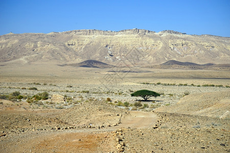 以色列内盖夫沙漠的Crater和MizpeRamon图片